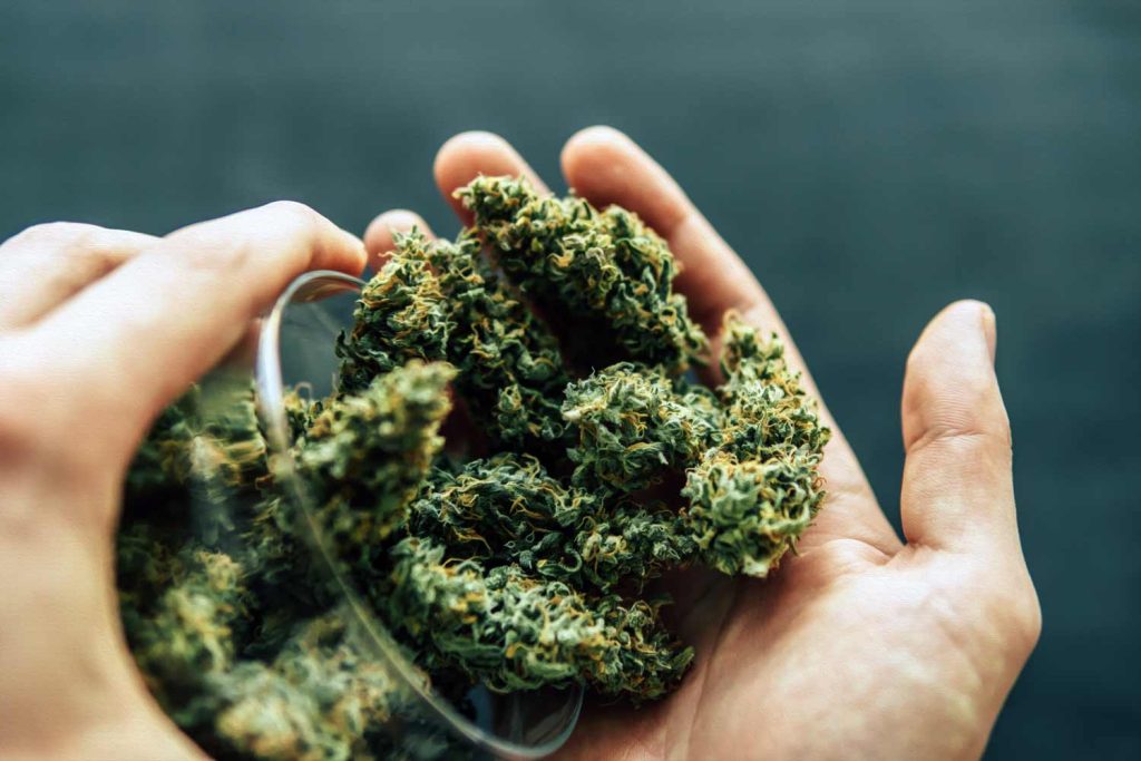 THCA Flower Vs THC Flower: The Chemical Difference Explained Through Heat
