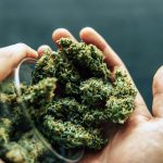 THCA Flower Vs THC Flower: The Chemical Difference Explained Through Heat